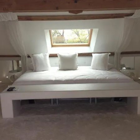 Domaine De La Belvaudiere Saint Pavace