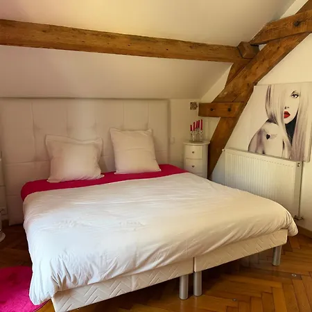 Domaine De La Belvaudiere Villa *