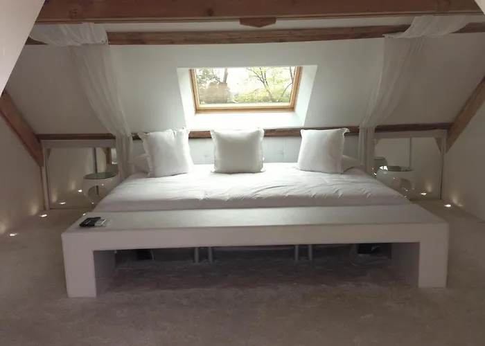 Domaine De La Belvaudiere Saint Pavace